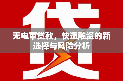 良庆无电审贷款，快速融资的新选择与风险分析