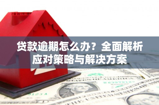 良庆贷款逾期怎么办？全面解析应对策略与解决方案