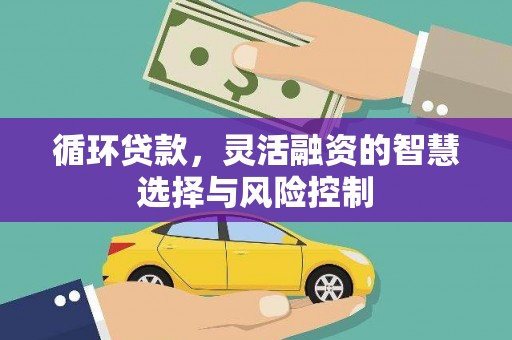 良庆循环贷款，灵活融资的智慧选择与风险控制
