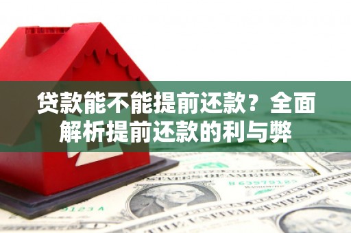 良庆贷款能不能提前还款？全面解析提前还款的利与弊