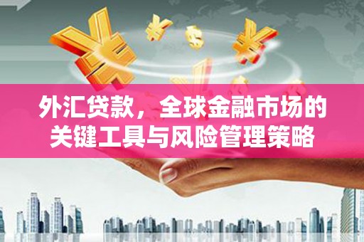 良庆外汇贷款，全球金融市场的关键工具与风险管理策略