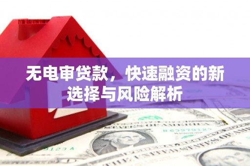 良庆无电审贷款，快速融资的新选择与风险解析