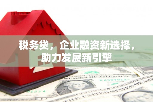 良庆税务贷，企业融资新选择，助力发展新引擎