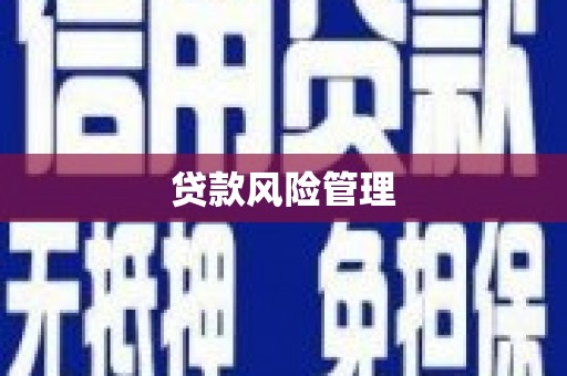 良庆贷款风险管理