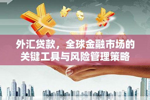 良庆外汇贷款，全球金融市场的关键工具与风险管理策略