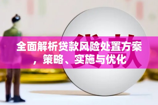 良庆全面解析贷款风险处置方案，策略、实施与优化