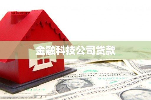 良庆金融科技公司贷款