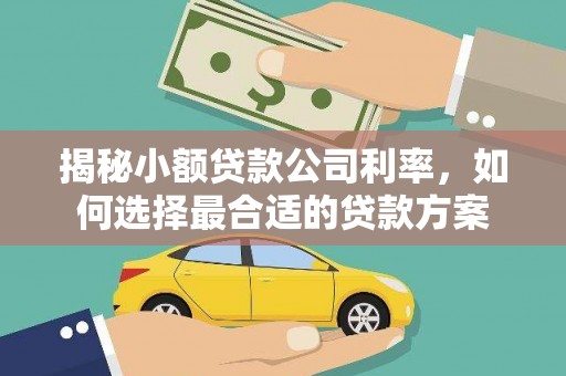 良庆揭秘小额贷款公司利率，如何选择最合适的贷款方案
