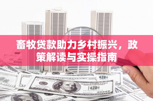 良庆畜牧贷款助力乡村振兴，政策解读与实操指南
