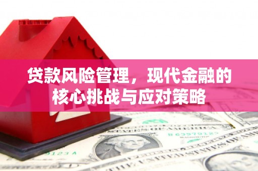 良庆贷款风险管理，现代金融的核心挑战与应对策略