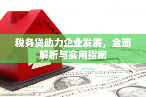 良庆税务贷助力企业发展，全面解析与实用指南