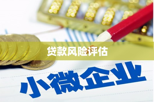 良庆贷款风险评估