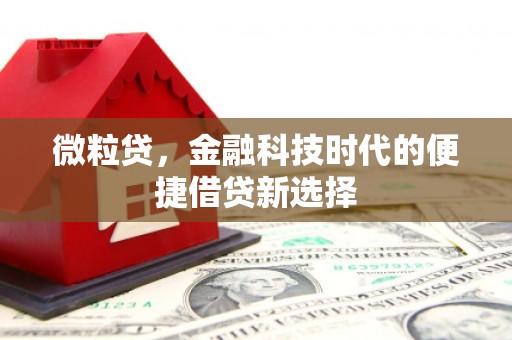 良庆微粒贷，金融科技时代的便捷借贷新选择