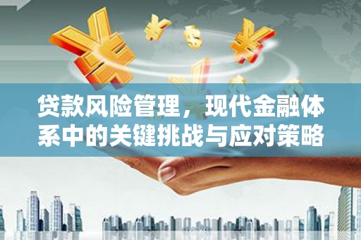 良庆贷款风险管理，现代金融体系中的关键挑战与应对策略