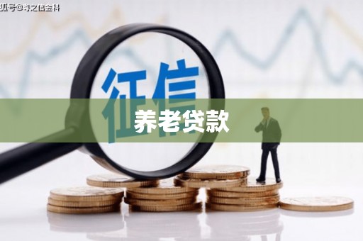 良庆养老贷款
