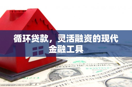 良庆循环贷款，灵活融资的现代金融工具