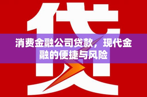 良庆消费金融公司贷款，现代金融的便捷与风险