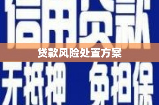良庆贷款风险处置方案