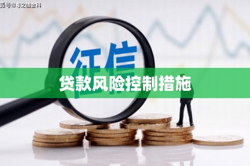 良庆贷款风险控制措施